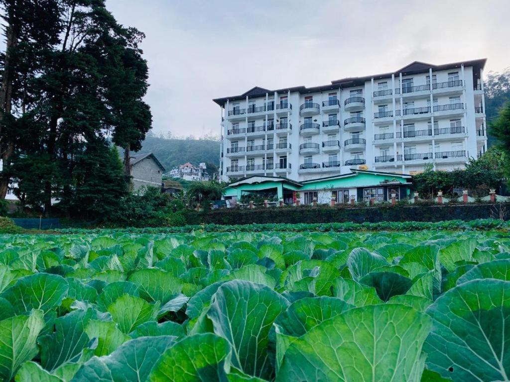 The Teak By Lakbima Apartment Nuwara Eliya Luaran gambar
